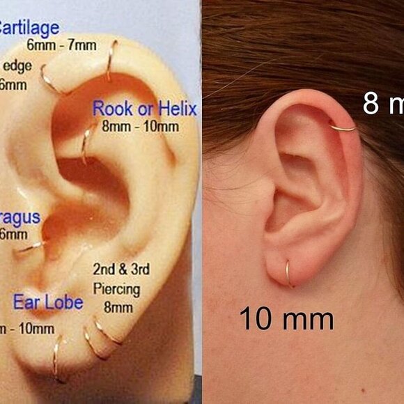 8 Pcs Silver Surgical Steel Small Hoop Earrings for Cartilage Daith Septum Nose - Picture 4 of 5